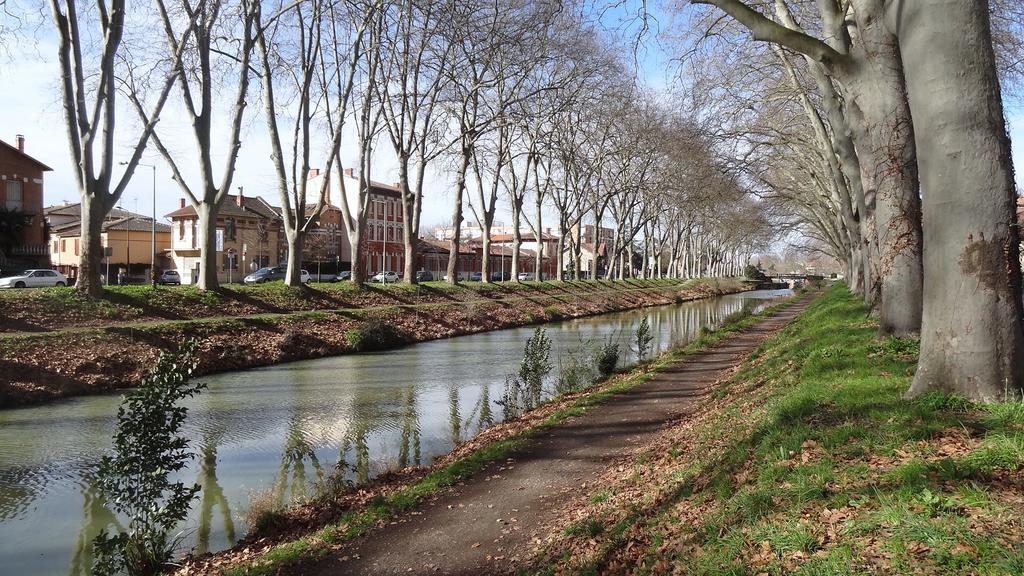 Le Brienne Toulouse Centre Apartment Luaran gambar